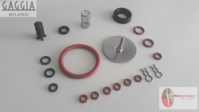 Gaggia Titanium repair kit with assorted seals springs and metal filter parts for coffee machines
