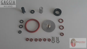 Gaggia Titanium repair kit with various rubber gaskets springs and metal filters for espresso machines