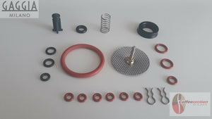 Gaggia Titanium repair kit with multiple seals springs and metal parts for espresso machines