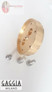 Gaggia brass shower holder replacement with mounting screws for espresso machines