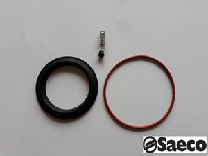 Saeco set - Repair Kit for NINA, STARBUCKS SIRENA, Gaggia Pure, Color - Coffeesection
