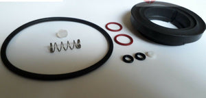 Saeco Via Venezia repair kit with various replacement seals springs and gaskets for espresso machines