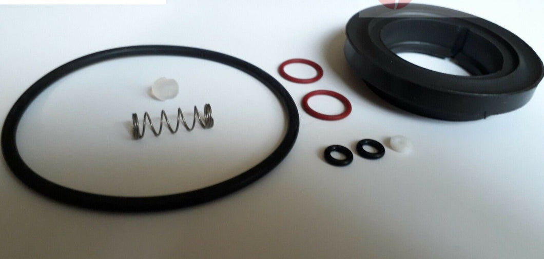 Saeco Via Venezia repair kit with various replacement seals springs and gaskets for espresso machines