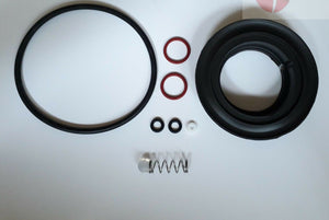 Saeco Via Venezia repair kit with various replacement rubber seals, spring, and components for espresso machine maintenance